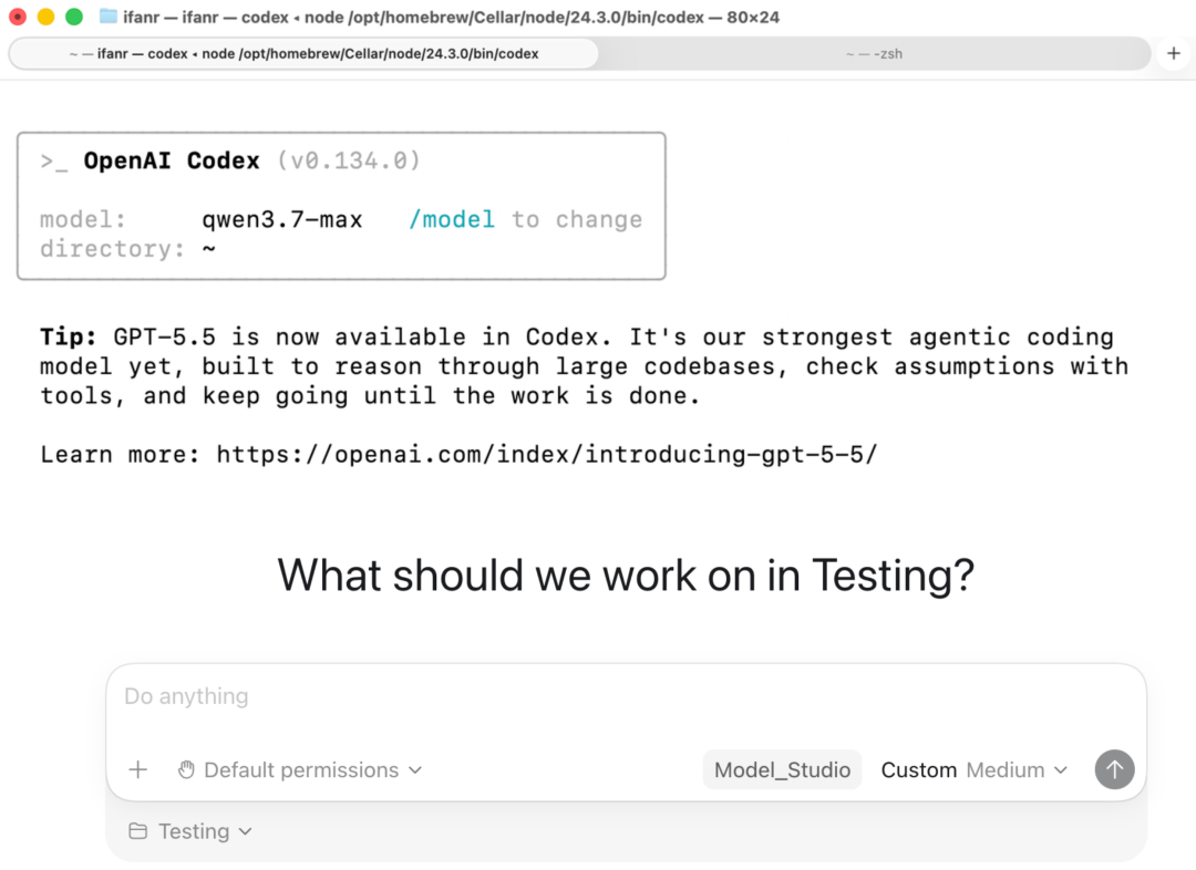 Codex 配置