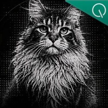 MaineCoon:22B参数47.5 FPS,史上最快流式音视频社交模型 MaineCoon:22B参数47.5 FPS,史上最快流式音视频社交模型