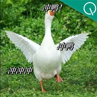 SkyClaw-v1.0: 逼近Opus 4.6的免费Agent模型 SkyClaw-v1.0: 逼近Opus 4.6的免费Agent模型