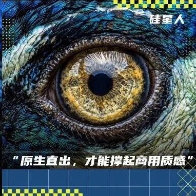 可灵原生4K：AI视频首次实现真4K直出
