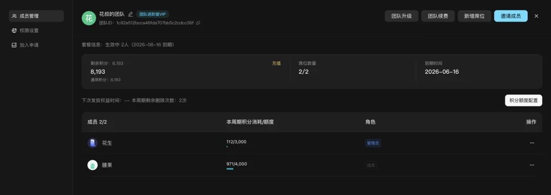 团队中心成员积分消耗统计