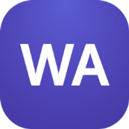 Wan Animate