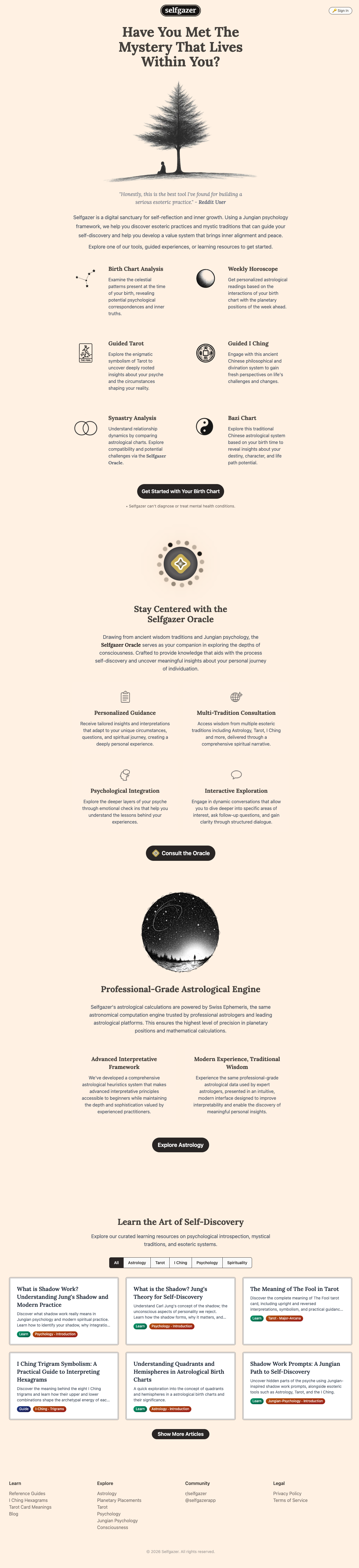 Selfgazer screenshot